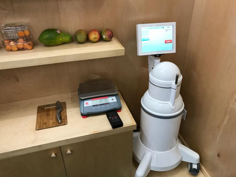 Laboratório de Amostragem de Radiação para Segurança Alimentar e Ambiental